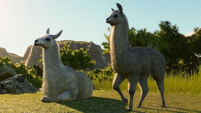 Planet Zoo dévoile son DLC Amérique du Sud, jungles et jaguars au programme