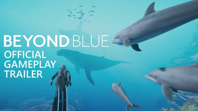 Beyond Blue vous fait nager avec les dauphins et les baleines en vidéo