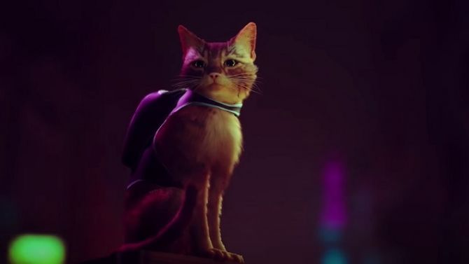 PS5 : Stray de Annapurna miaule sur PS5 dans un monde cyberpunk