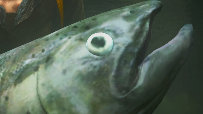 L'image du jour : La photo la plus improbable avec Ellie dans The Last of Us 2