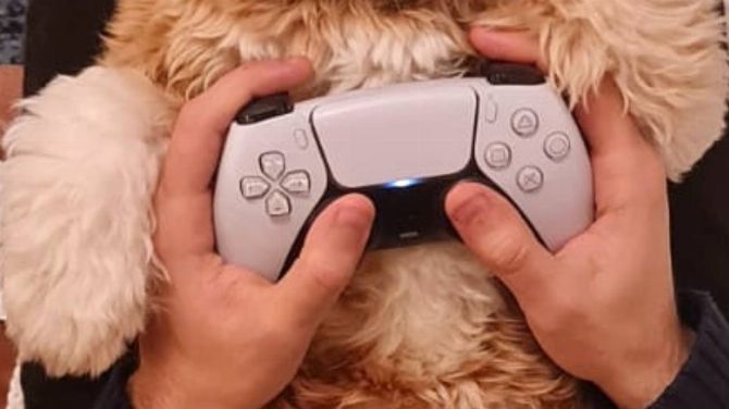 L'image du jour : Accro à la DualSense, il s'incruste sans complexe