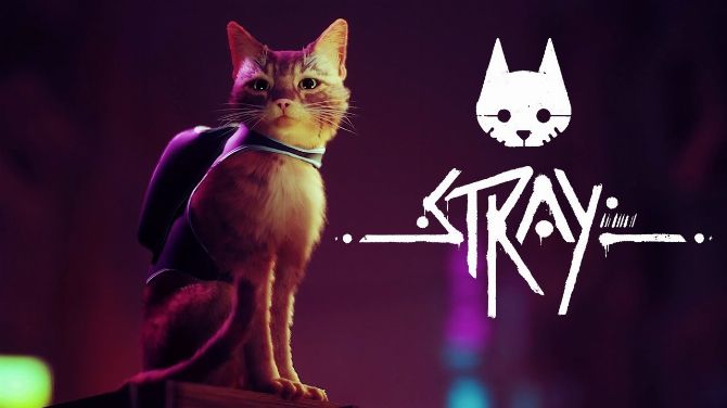 STRAY montre une longue vidéo de gameplay fort chatpathique
