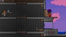 Test : Terraria (PC)