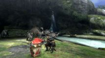 Monster Hunter 3 : "Chacha" se présente en images