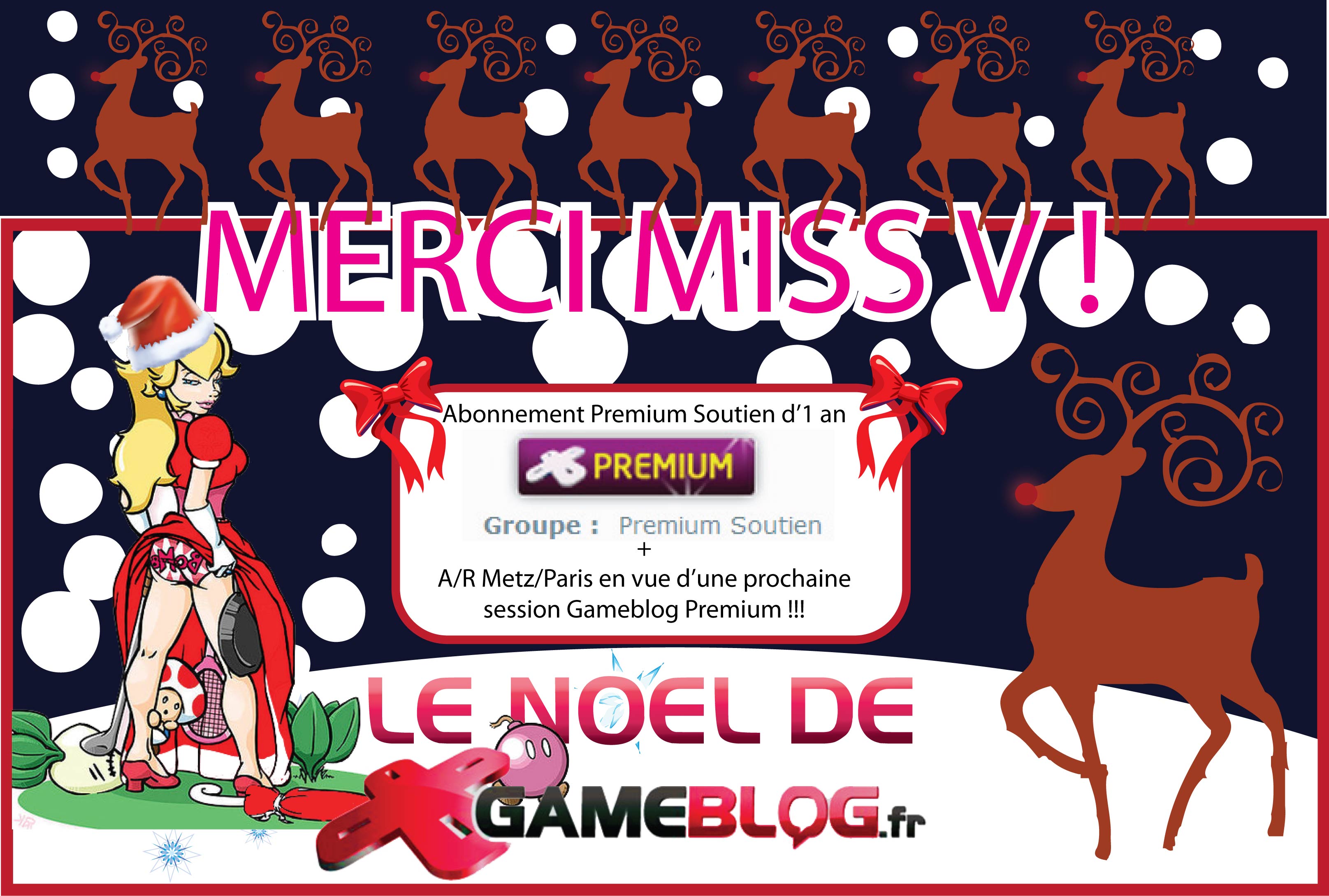 Les Gameblogueurs souhaitent un très Joyeux Noël à Miss V