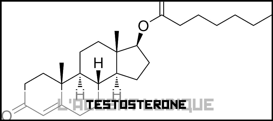 [ Podcast #03 ] Test-ostérone