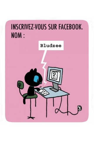 Bludzee le chat : Adoptez-le !