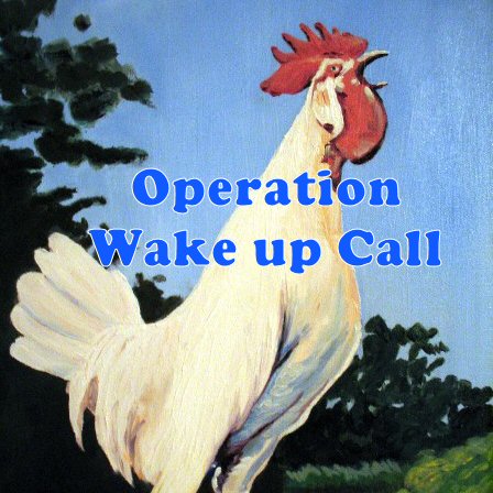 Merci de me réveiller !!!!