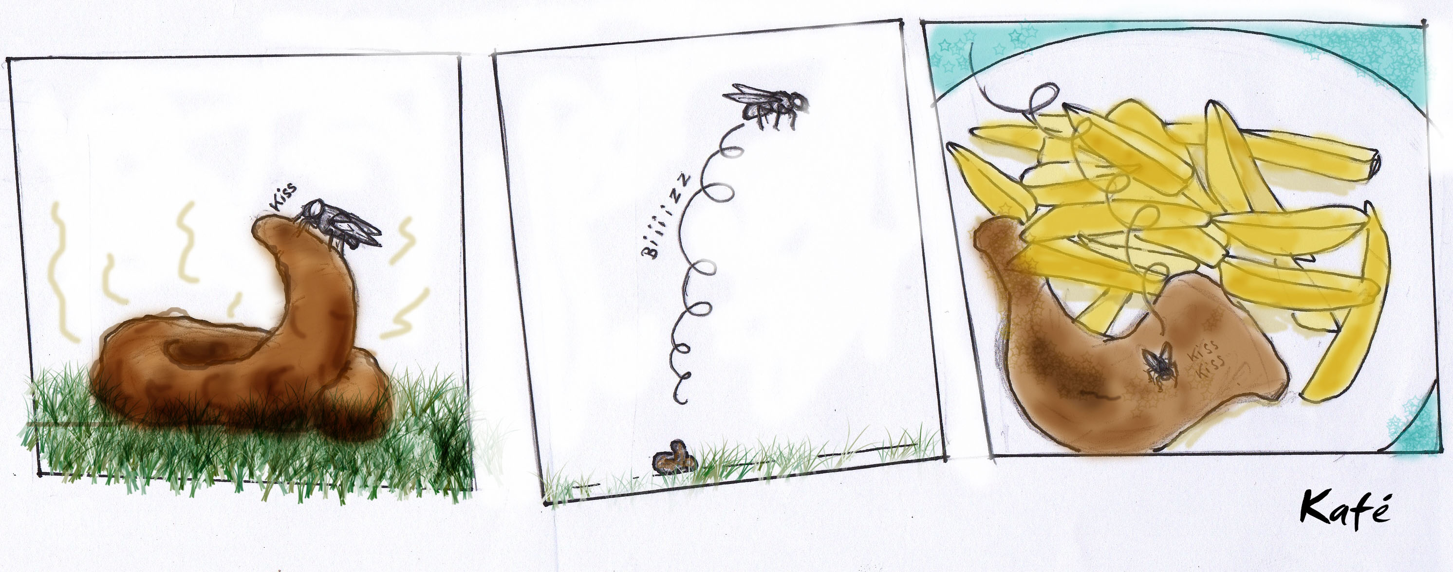 Découvrez d'ou sort la mouche sur vos repas....