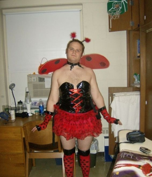 Coccinelle, demoiselle Bête à Bon Dieu Coccinelle, demoiselle Vole jusqu'aux cieux