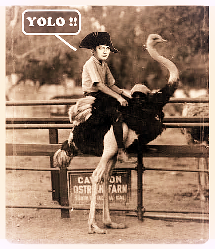 FINAL FANTASY : Analyse du Chocobo