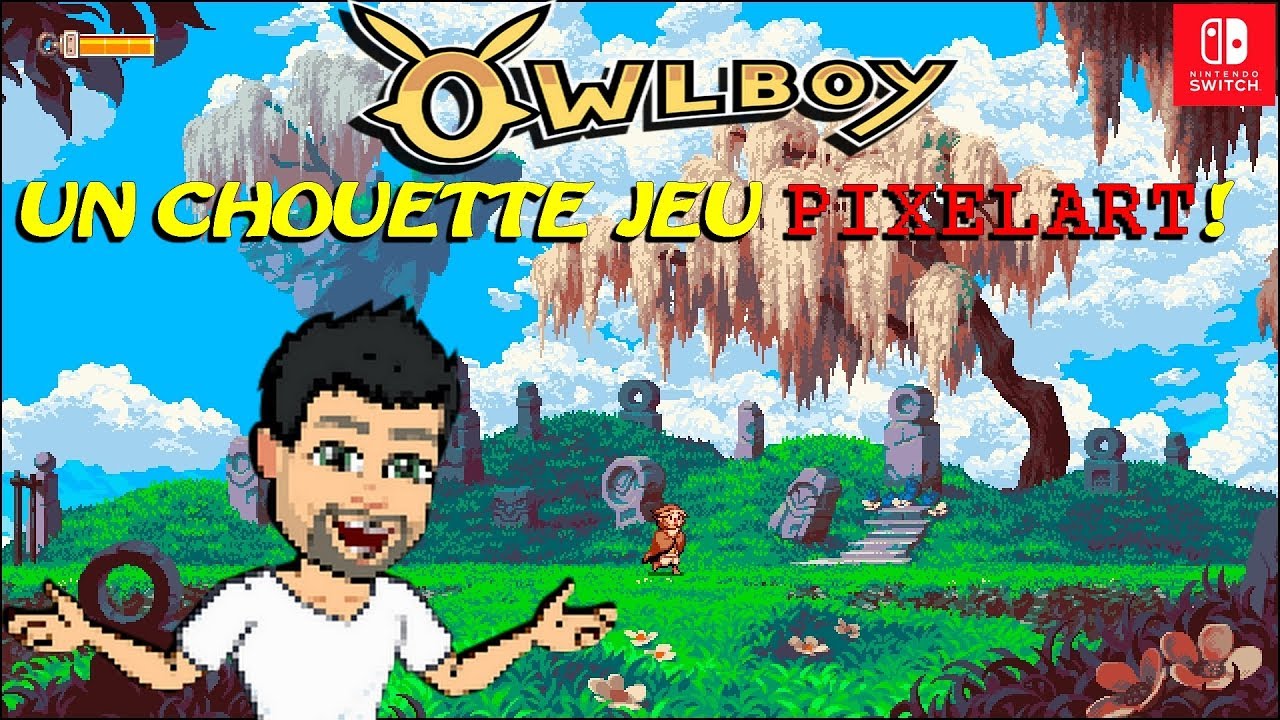 OWLBOY sur Switch - Un jeu qui est chouette !