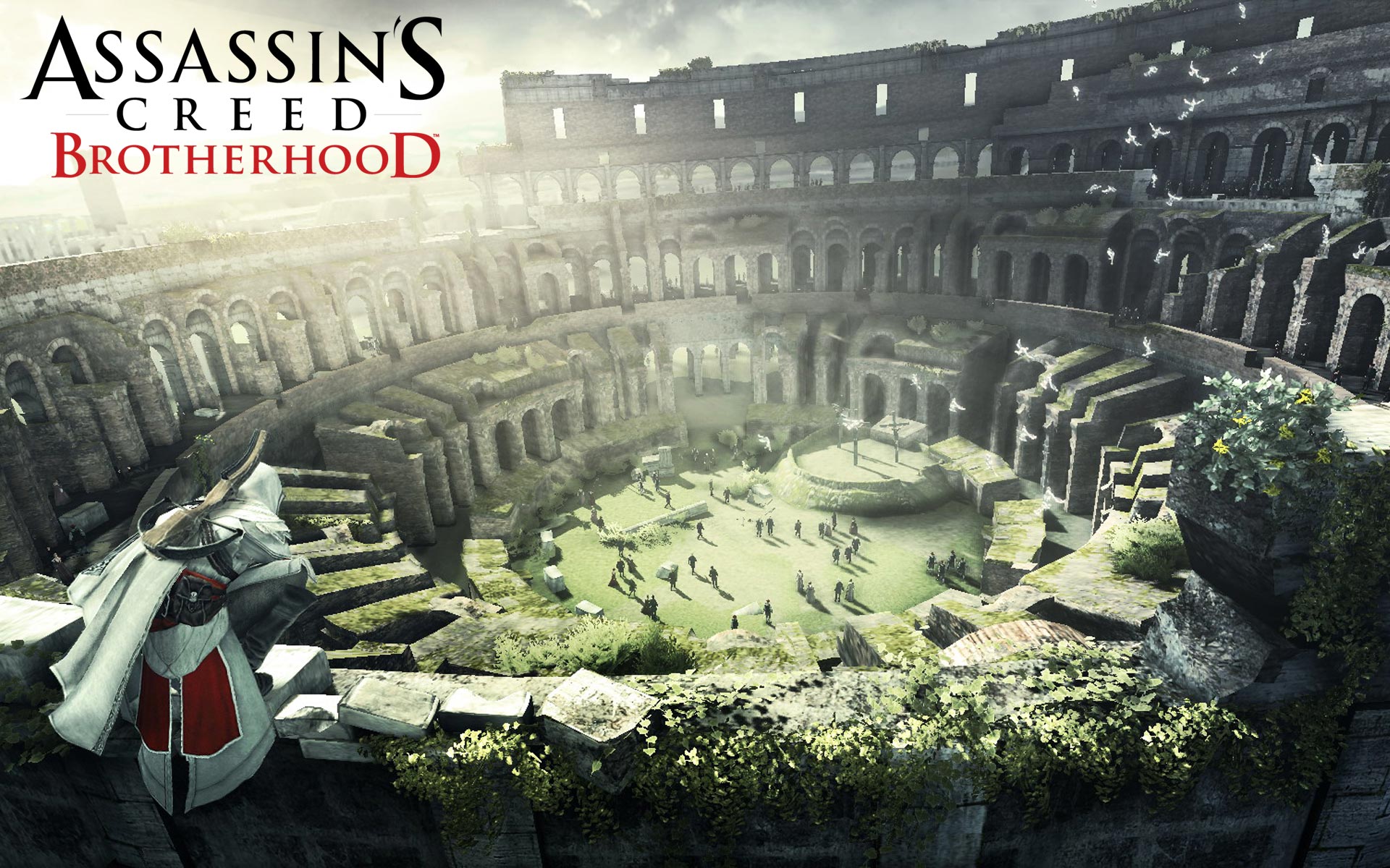 Critique Assassin's Creed Brotherhood