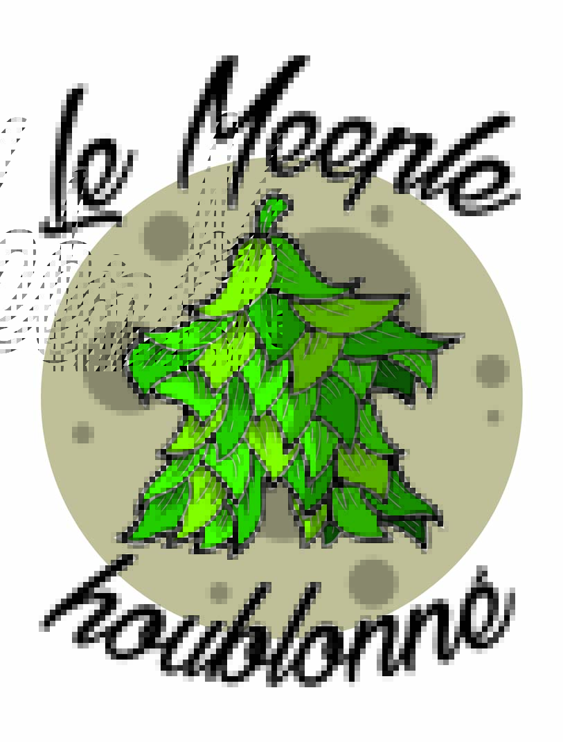 HORS-SÉRIE : LE MEEPLE HOUBLONNÉ