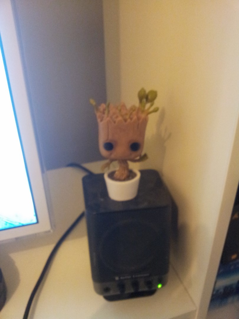 Premieres figurines de la nouvelle année (a prix résonnable ^^)