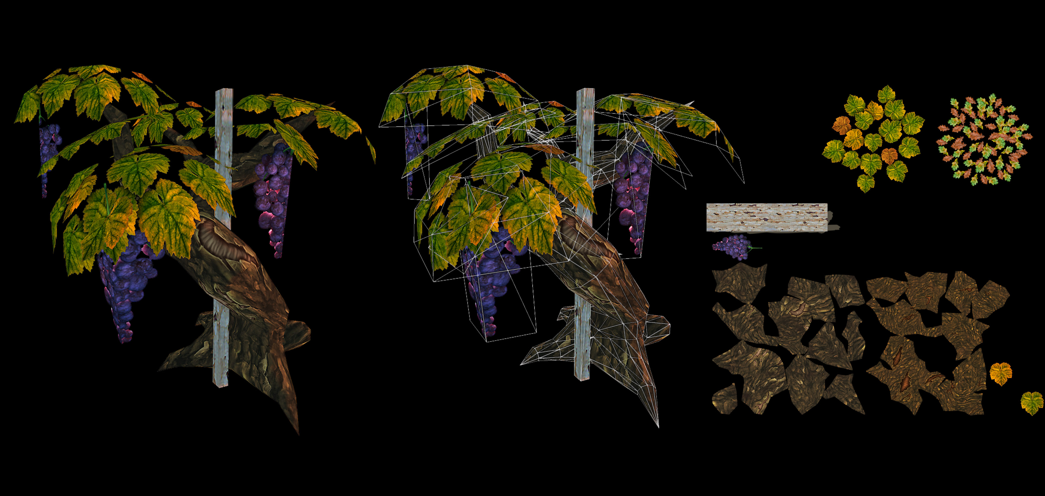 Vignes 3D. (corentin)