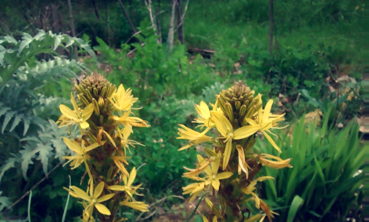 Hors Sujet 2017 résumé aka Kekrawards 2K-XVbarbar Anticlimax 1.2.0  aka "Enterrons 2017"