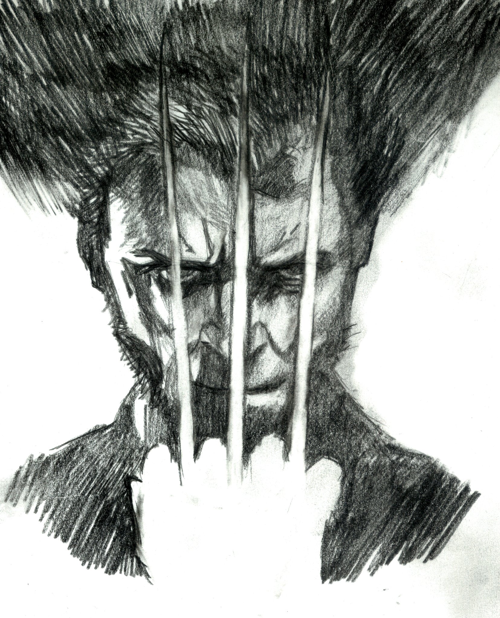 wolverine (dessin)
