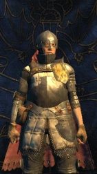 Dragon's Dogma : Armes et classes