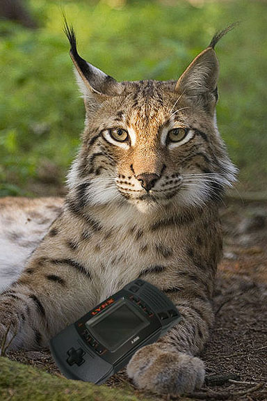 LYNX d'Atari : faites vos jeux !