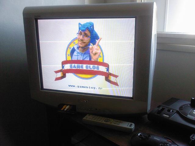 True Sonic The Hedgehog