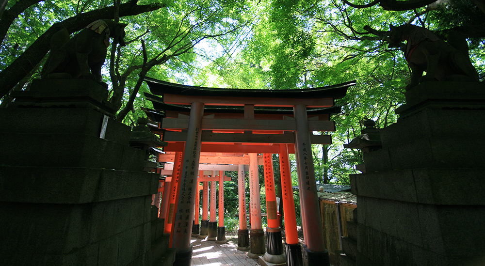 En balade au Japon, épisode 2 : le Fushimi Inari Taisha à Kyoto