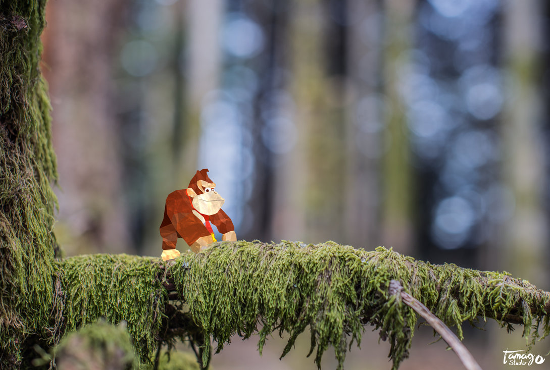 Donkey Kong dimension