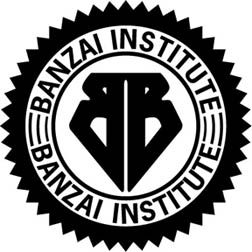 Les Aventures de Buckaroo Banzaï à travers la 8ème dimension