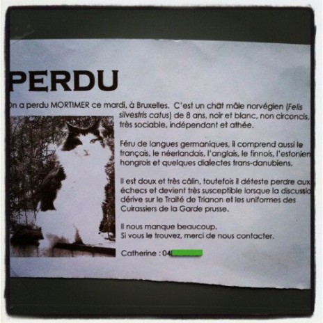 Une histoire de chat.