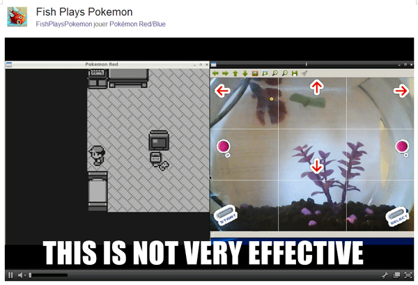Fish Plays Pokemon