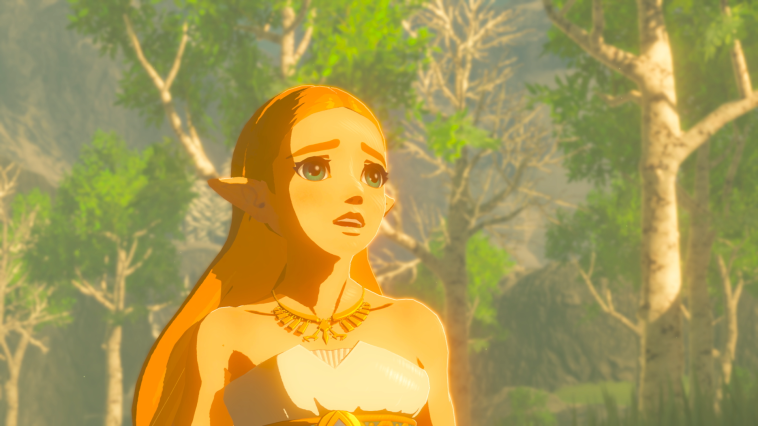 The Legend of Zelda Breath of the wild (Wii U / Switch) : Une centaine d'heures plus tard...