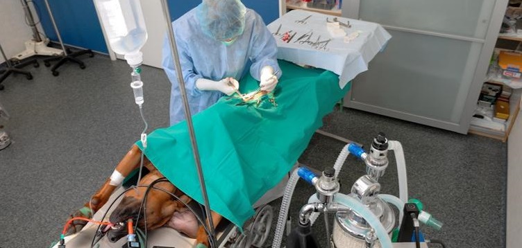 Évaluations surprises...