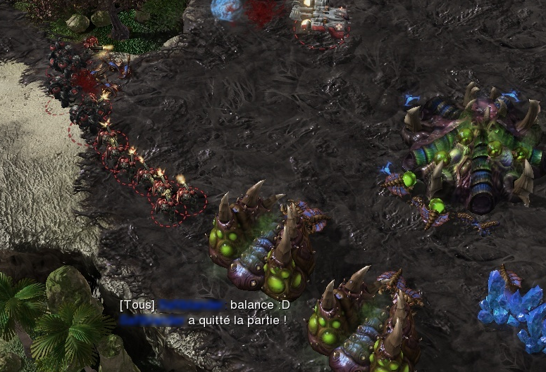 Terran vs Zerg Polt Build