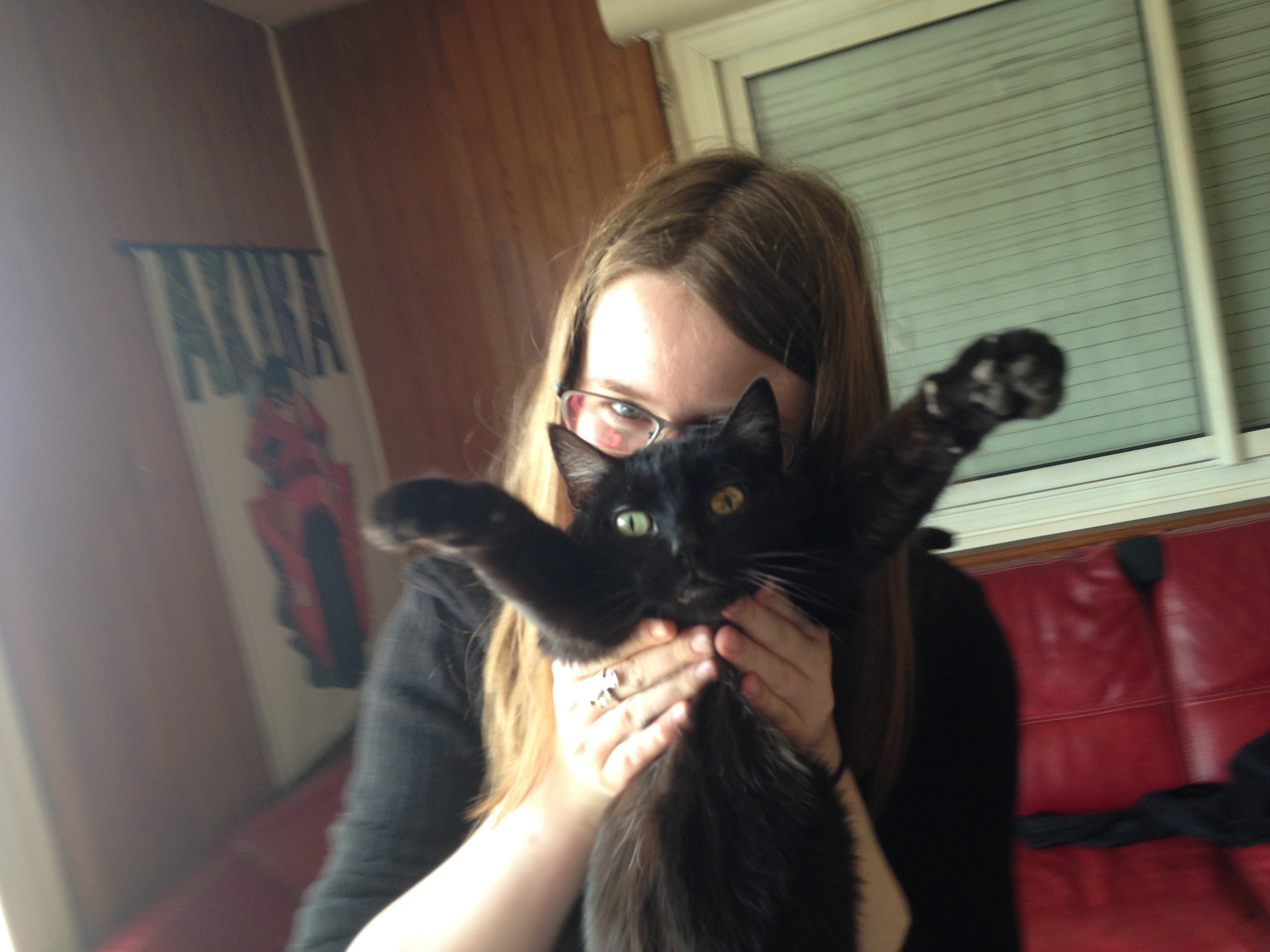 La vie d'un chat Part 3 / final