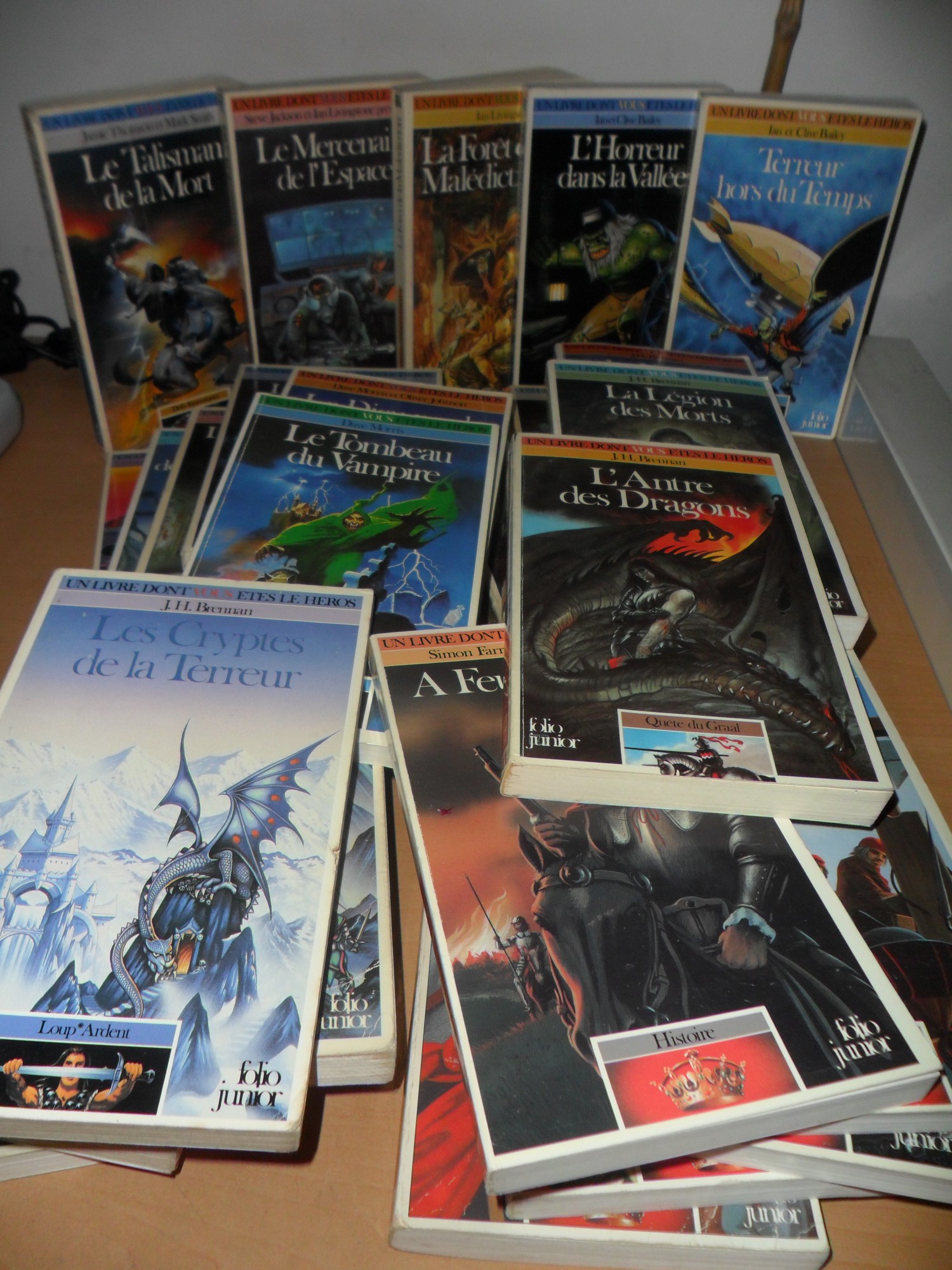 Livres dont vous êtes le héros