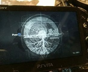 Salt and Sanctuary sur PS Vita, ça se précise, un peu