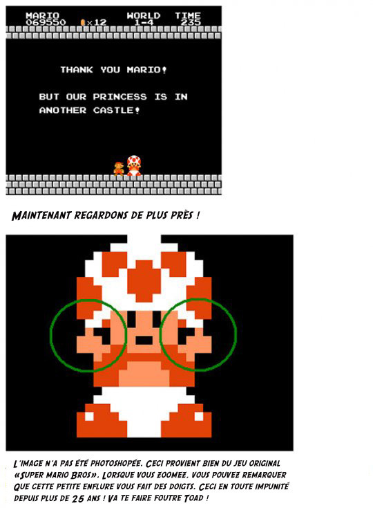 Toad... tu paraissais si mignon !