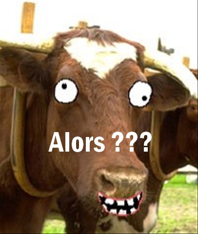 IRL Made in NORMANDIE ! - Le point et une toute petite question.