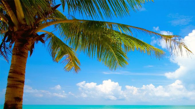 Les jeux de l'été pour partir en vacances