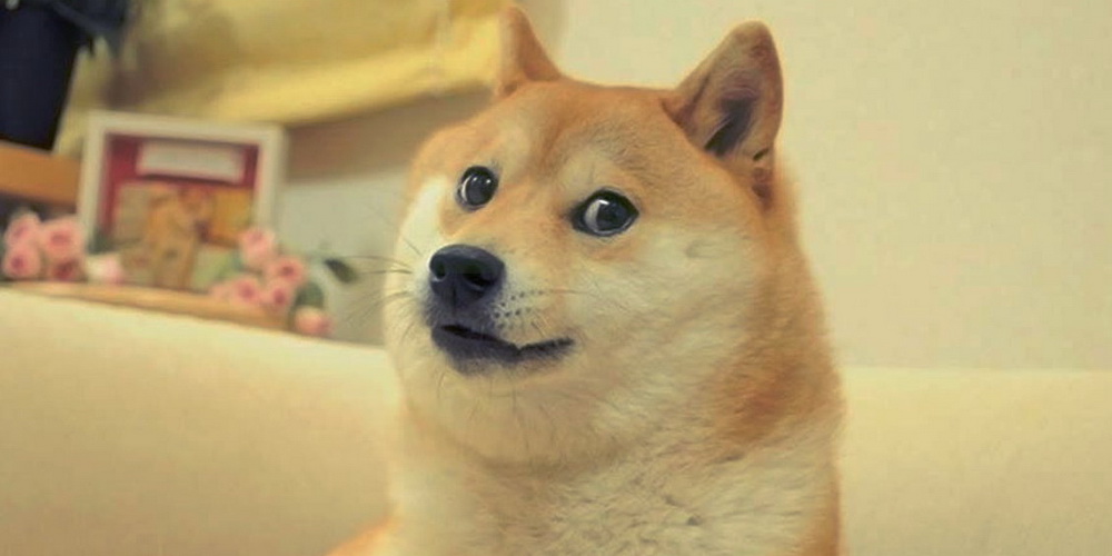 Top des meilleurs chiens du jeu vidéo