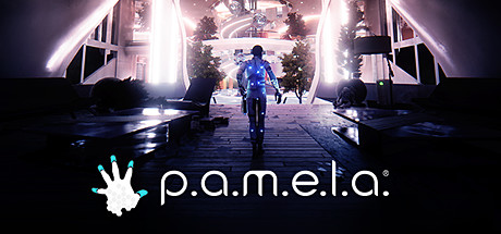 PAMELA