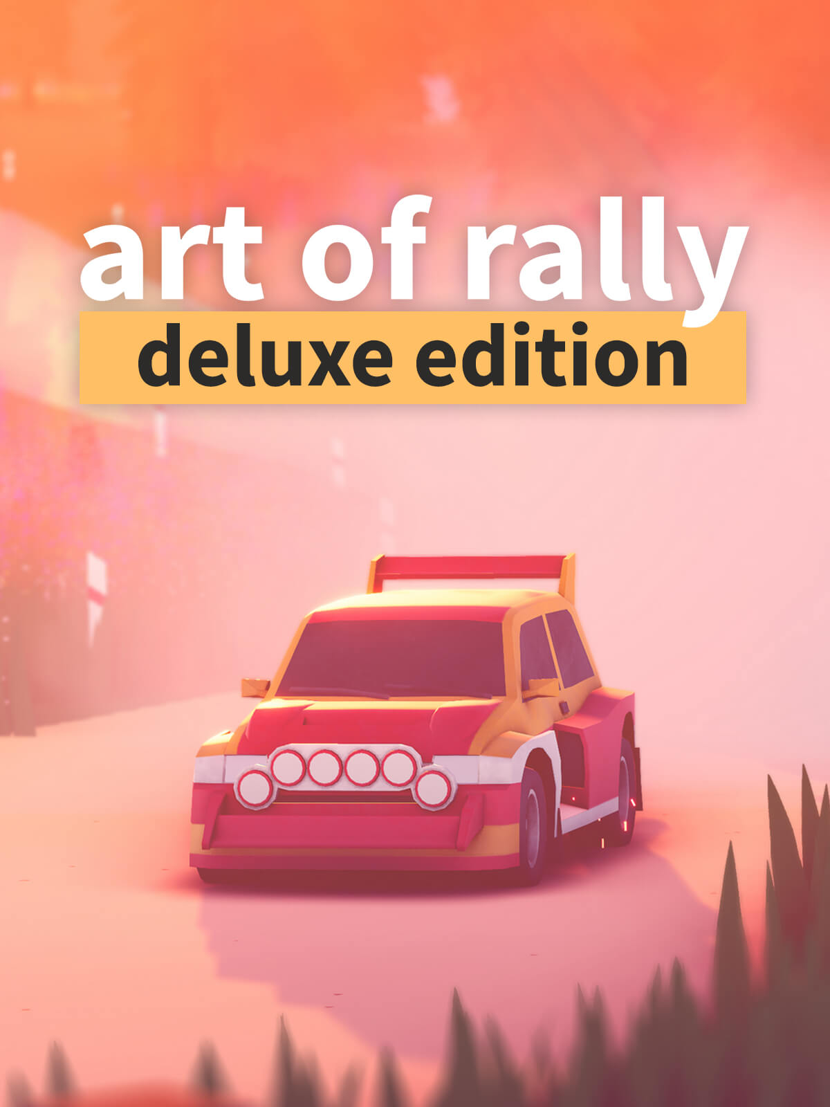 art of rally
