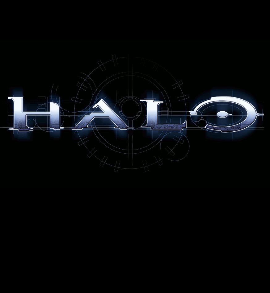 Halo MMO (titre provisoire)