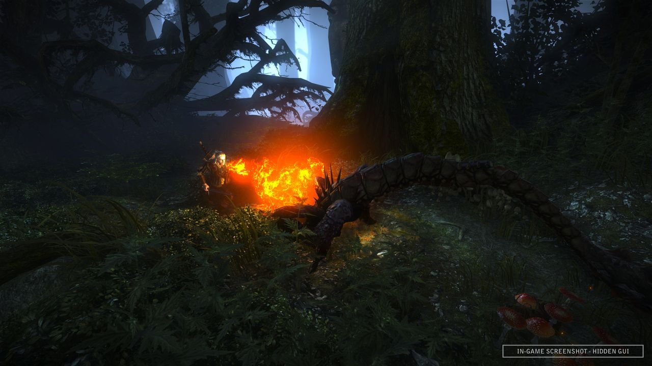 The Witcher 2 PS3 toujours en vie ? - Actualités du 17/02/2012 
