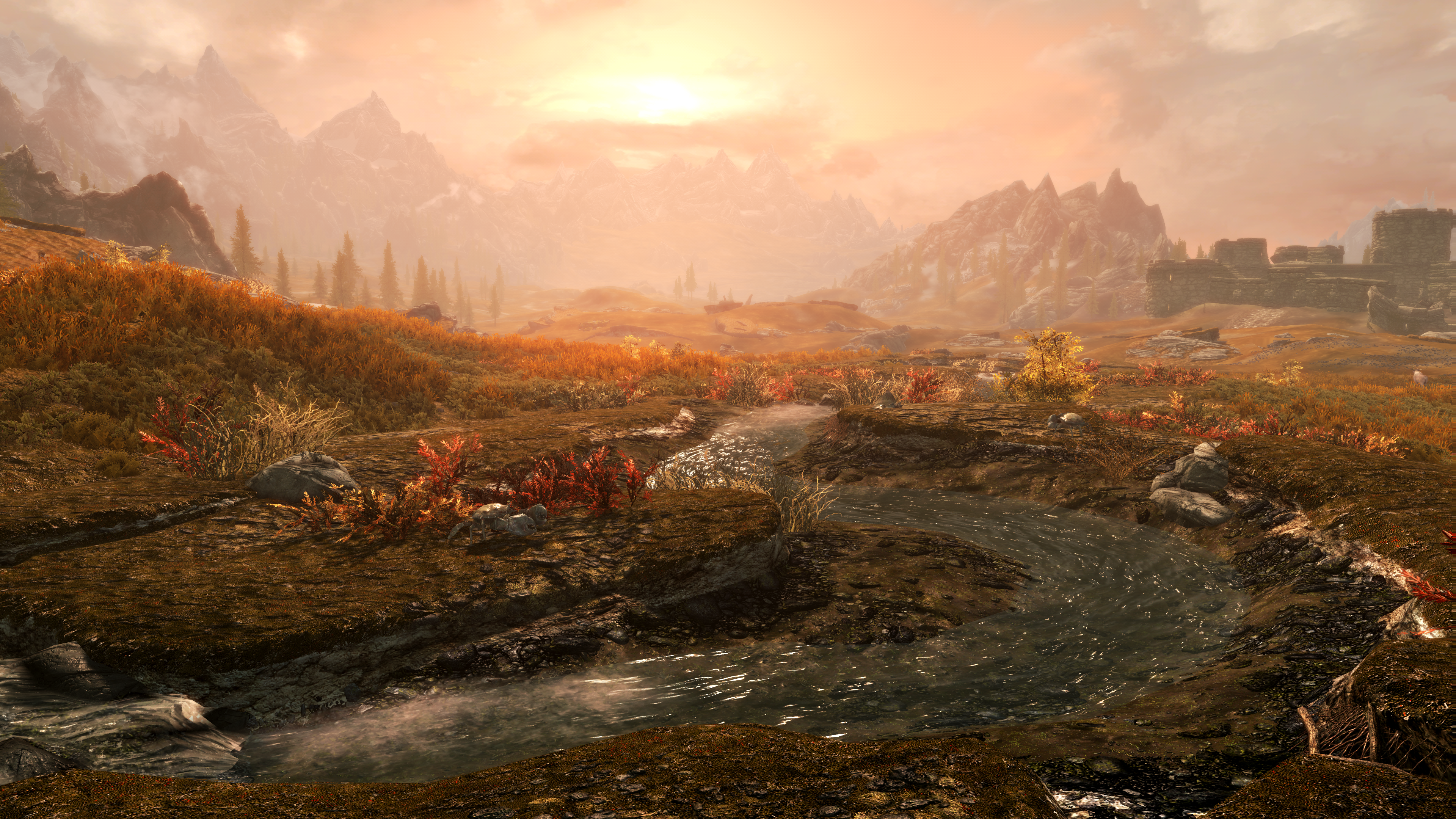 TEST PC : The Elder Scrolls V Skyrim : Chasse aux lézards