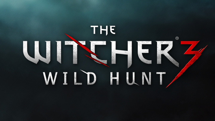 The Witcher III : Wild Hunt