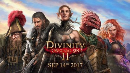 Test De Divinity Original Sin Ii Pc Jeux Gameblog Fr