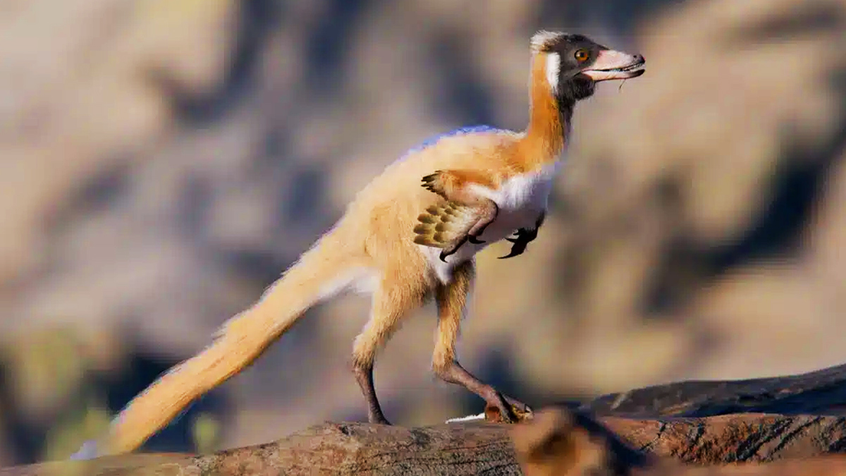 Des scientifiques découvrent un minuscule dinosaure qui pourrait tout changer sur l'évolution