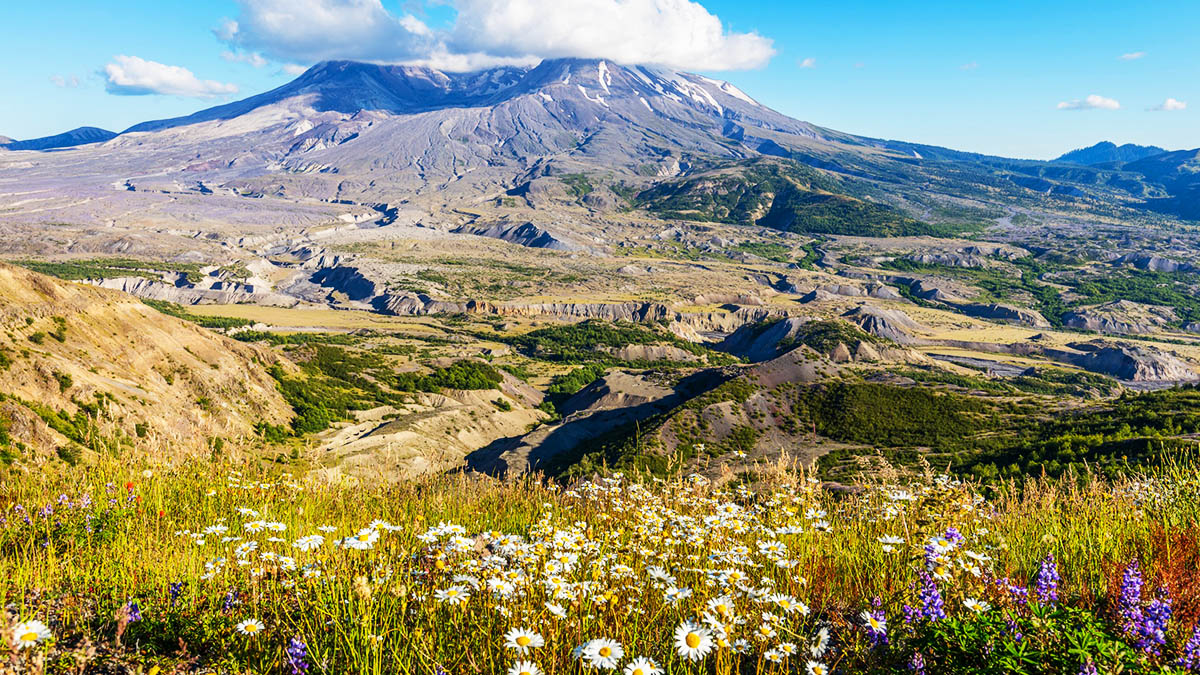 En 1980, la vie a disparu sur ce volcan mais les scientifiques l'ont fait renaître grâce à cette expérience folle