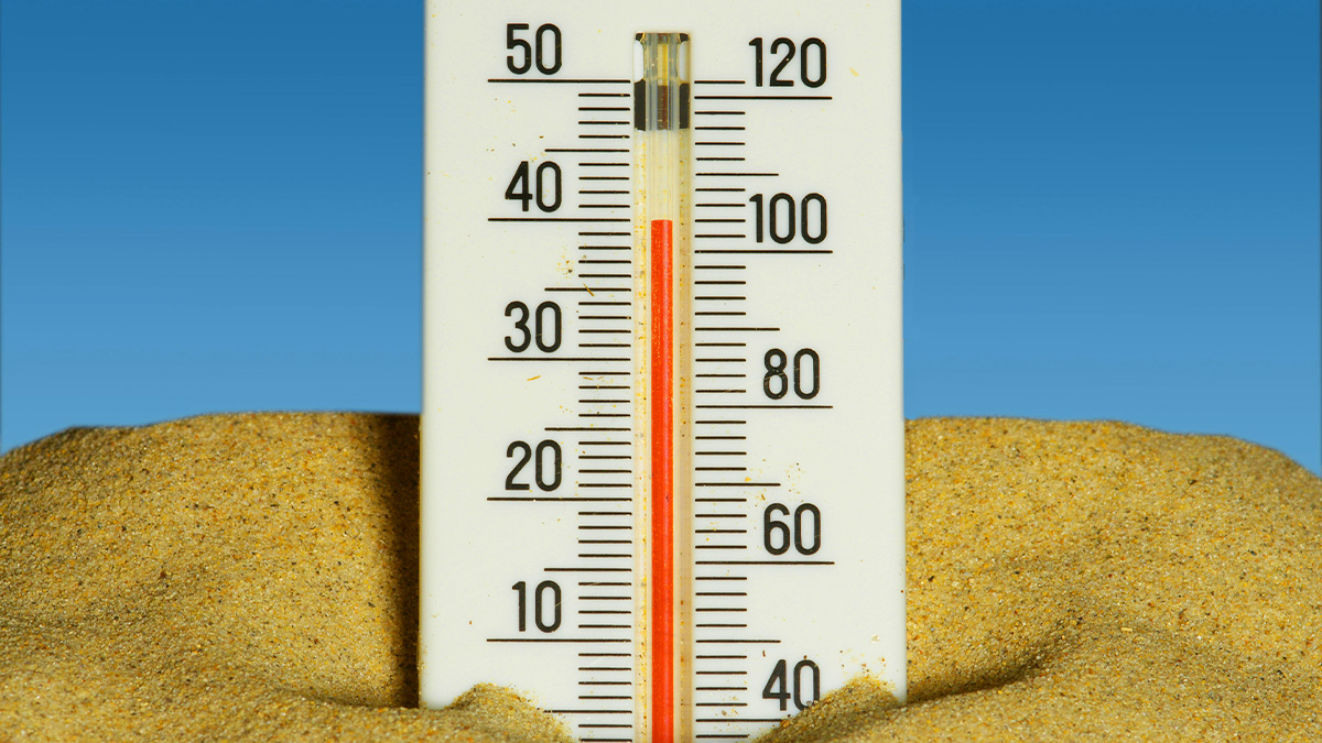L’été 2026 pourrait être marqué par la canicule la plus intense depuis 100 ans. Les scientifiques lancent l’alerte sur un événement extrême d’une intensité rare